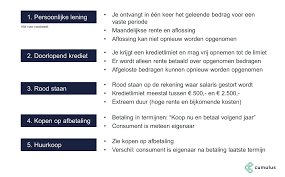 Alles Wat U Moet Weten Over Doorlopend Krediet: Flexibele Financiering Explained